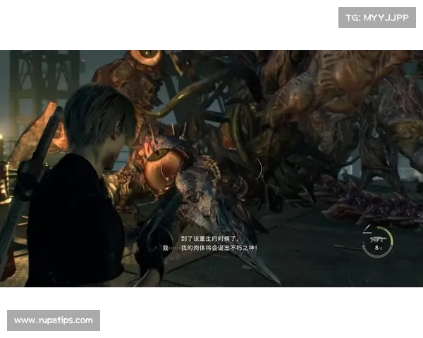 生化危机4：绝望与抉择的迷宫