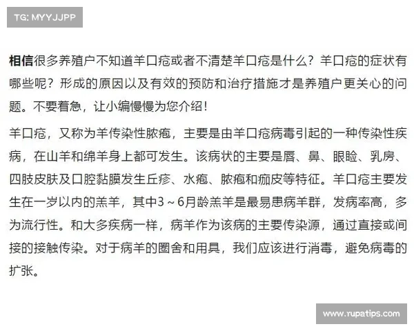 羊传染病治疗方法揭秘 羊传染病治疗方法揭秘