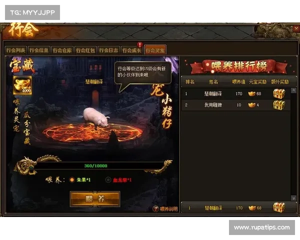 贪玩传世活动攻略—贪玩传世职业搭配攻略:畅游传世,探索贪玩活动宝典,制霸玛法 贪玩传世活动攻略—贪玩传世职业搭配攻略:畅游传世,探索贪玩活动宝典,制霸玛法